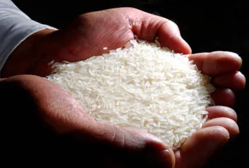 भारतीय चावल निर्यात पर प्रतिबंध: वैश्विक बाज़ार और खाद्य सुरक्षा पर प्रभाव