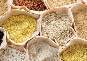 Millets for climate resilience and food security in India