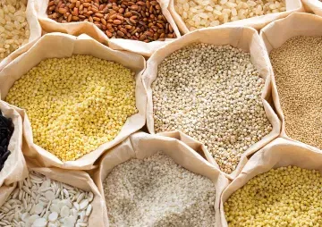 Millets for climate resilience and food security in India  