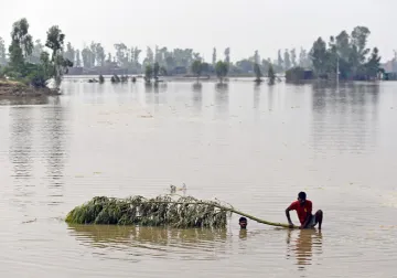 हवामान बदल रोखण्यासंदर्भात प्रगती करण्याचा एकमेव मार्ग