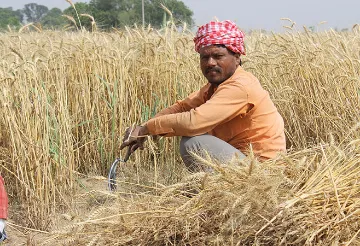 ‘ठेके पर खेती’ को भारतीय किसानों के लिए उपयुक्त बनाना संभव
