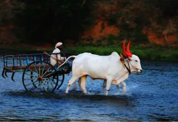 मोदी चलें अगला दांव: अमीर किसानों पर टैक्‍स लगाएं