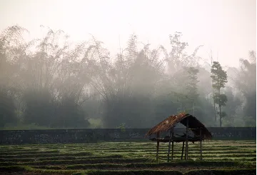 जीडीपी वृद्धि दर आशाजनक, लेकिन कृषि की हालत चिंताजनक  