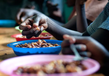 २०३० कडे वाटचाल: जागतिक अन्न सुरक्षा आव्हाने समजून घेताना  