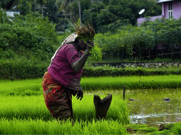 ग्रामीण भारत में यौन उत्पीड़न और अर्थव्यवस्था पर उसका प्रभाव