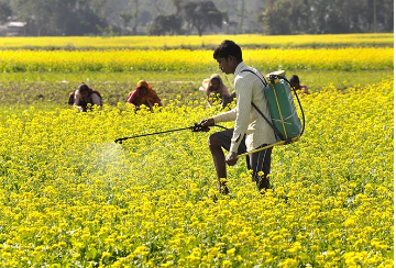 ग्रामीण क्षेत्रों में रोज़गार बढ़ाने के लिए छोटे शहरों का हो विकास  