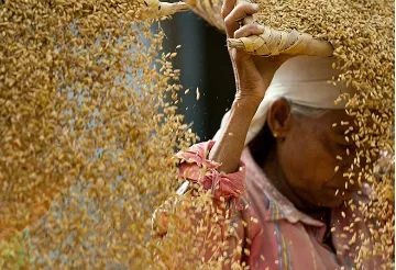 पश्चिम बंगाल में खाद्य सुरक्षा: अंतरराज्यीय स्थानांतरण और डिजिटलीकरण  