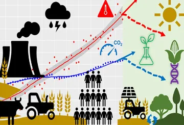 Sustainable agriculture, climate change and nutrition: a complex challenge