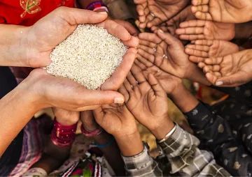 Harnessing nutritional resilience for food security and gender equality  