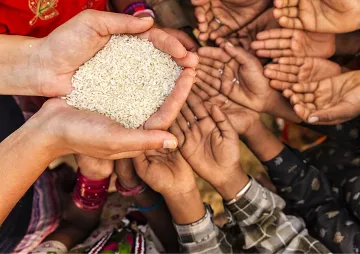 Harnessing nutritional resilience for food security and gender equality