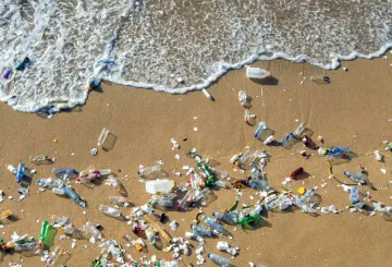 ‘प्लास्टिक प्रदूषण के जिन्न को बोतल में बंद करने के लिए अंतरराष्ट्रीय क़ानून ज़रूरी’