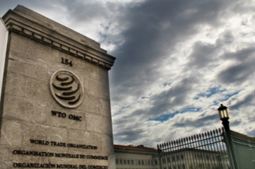 Investment Facilitation: the WTO’s legitimacy crisis  