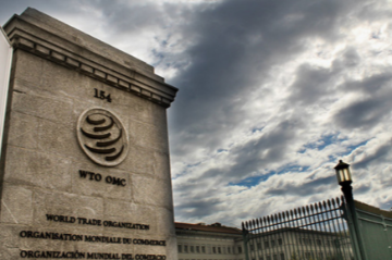 Investment Facilitation: the WTO’s legitimacy crisis