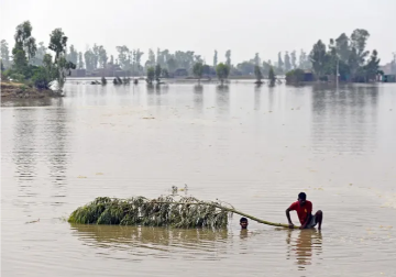 জলবায়ু কর্মসূচিতে অগ্রগতির একমাত্র উপায়  