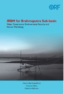 IRBM for Brahmaputra Sub-basin  