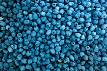 Blue foods for improved nutrition
