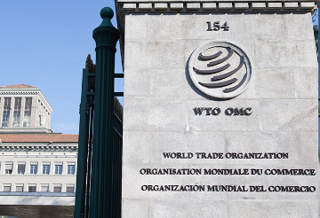 विश्व व्यापार संगठन: विकासशील देश विशेष और अलग बर्ताव का लाभ उठा रहे  