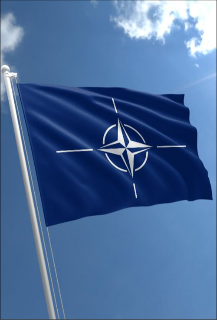 The Reinvention of NATO