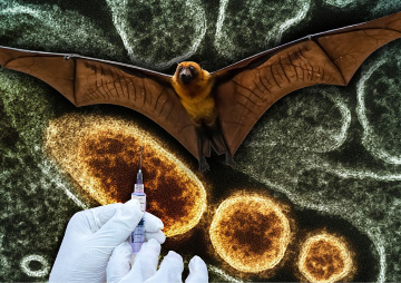 Nipah virus: The need for contextually-situated public health responses  