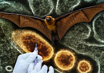 Nipah virus: The need for contextually-situated public health responses