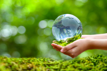 Climate conservation: Small steps for communities, giant steps for climate action  