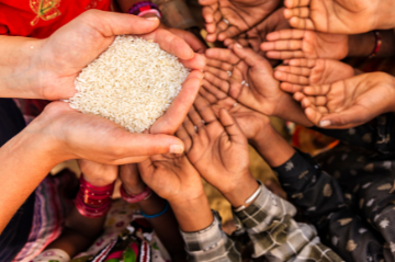 Creating climate resilient food systems  