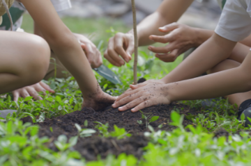 World Environment Day 2024: Restoring land, building resilience, and protecting public health