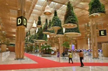 New urban climate policy: Making our cities “Tall, Green and Walkable  