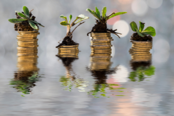 Scaling circular economy  