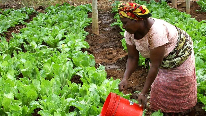 Africa Monitor | Volume V; Issue XIX | USD 30 billion pledged for farming