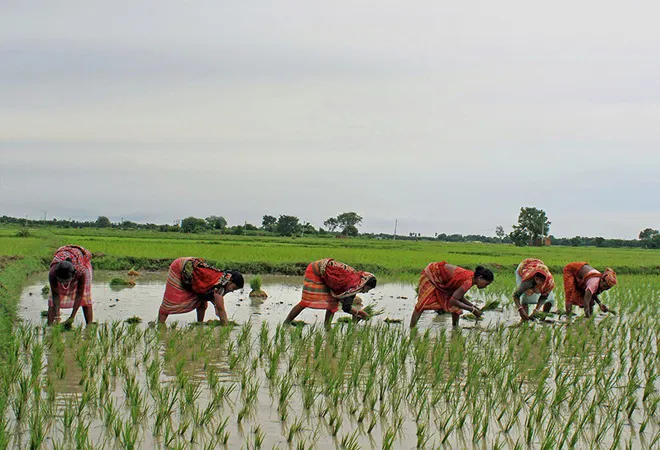 Women farmers' plight