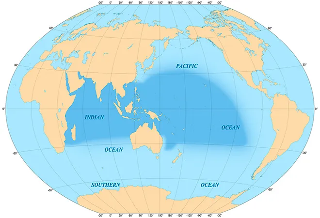 What does an EU Indo-Pacific Strategy entail?  