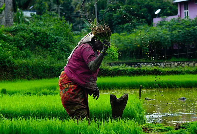 Putting women front and centre of India’s green recovery process