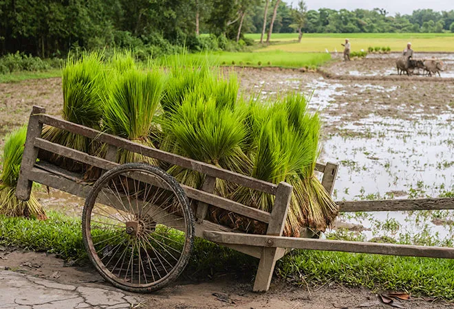 Towards a new deal for Indian farmers  