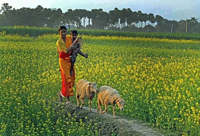 India needs a systematic overhaul in agriculture to ensure food security  