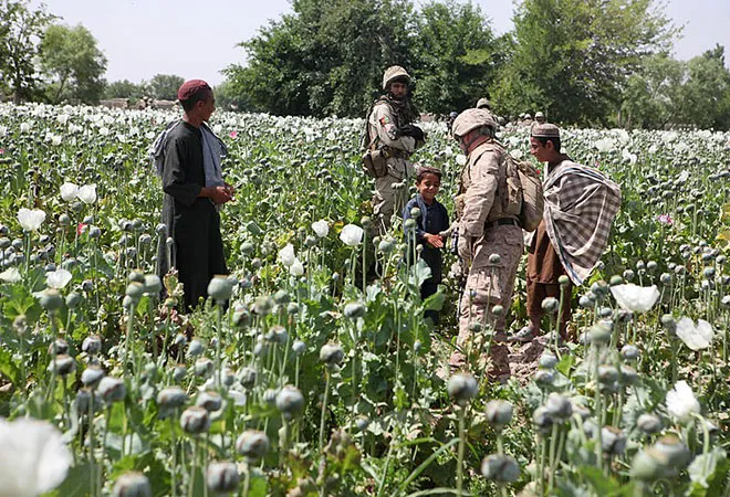 How to win the drug war in Afghanistan  