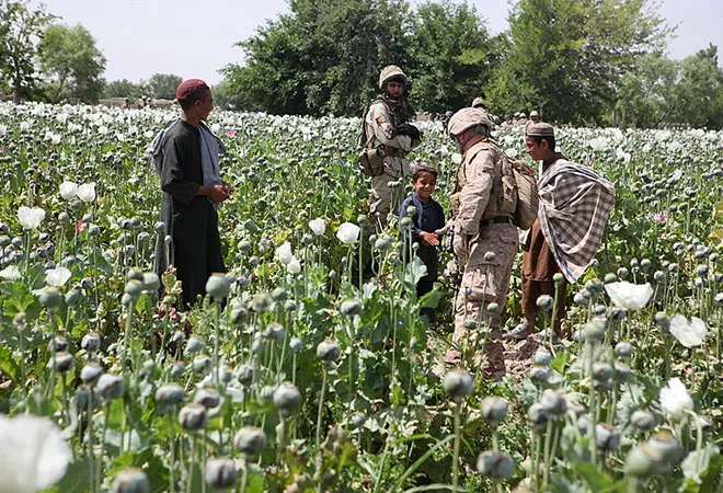 How to win the drug war in Afghanistan