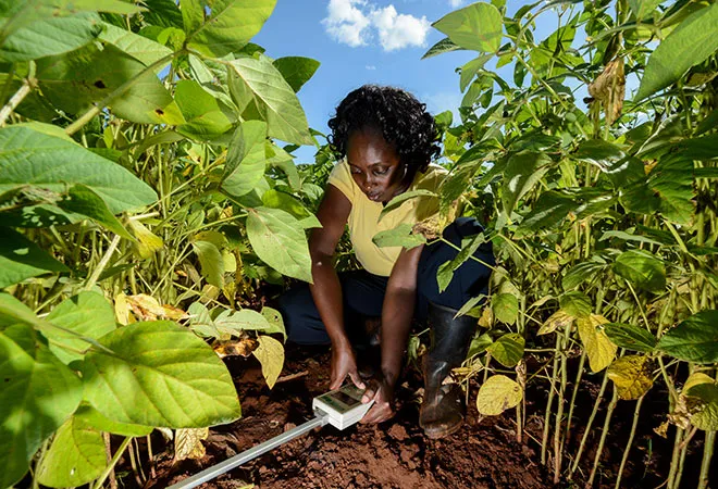 Climate Smart Agriculture: How can we be smart about it?