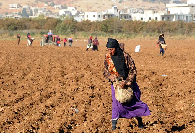 COVID-19: India could play a crucial role in combating West Asia’s brewing food security crisis