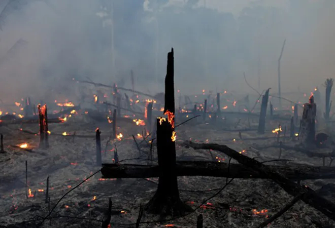 Amazon forest fires: The tragedy of the Global Commons  