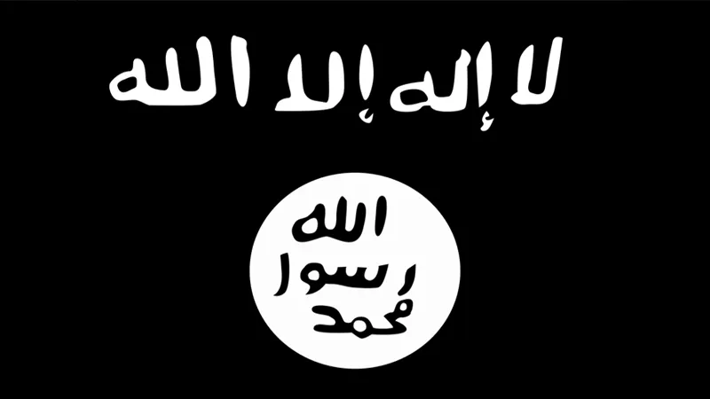 Islamic State and South Asia  