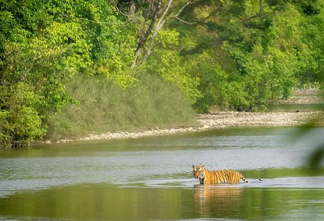 Global biodiversity framework and the status of protected area conservation in India