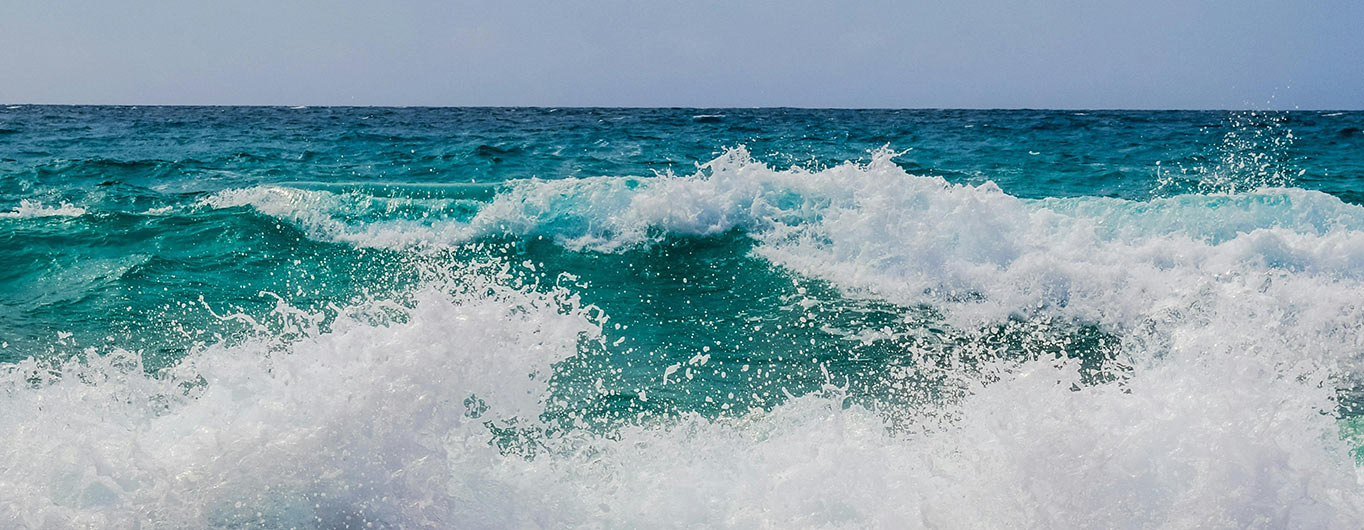 World Oceans Day Series | Governing the Oceans: Rethinking Access and Equity