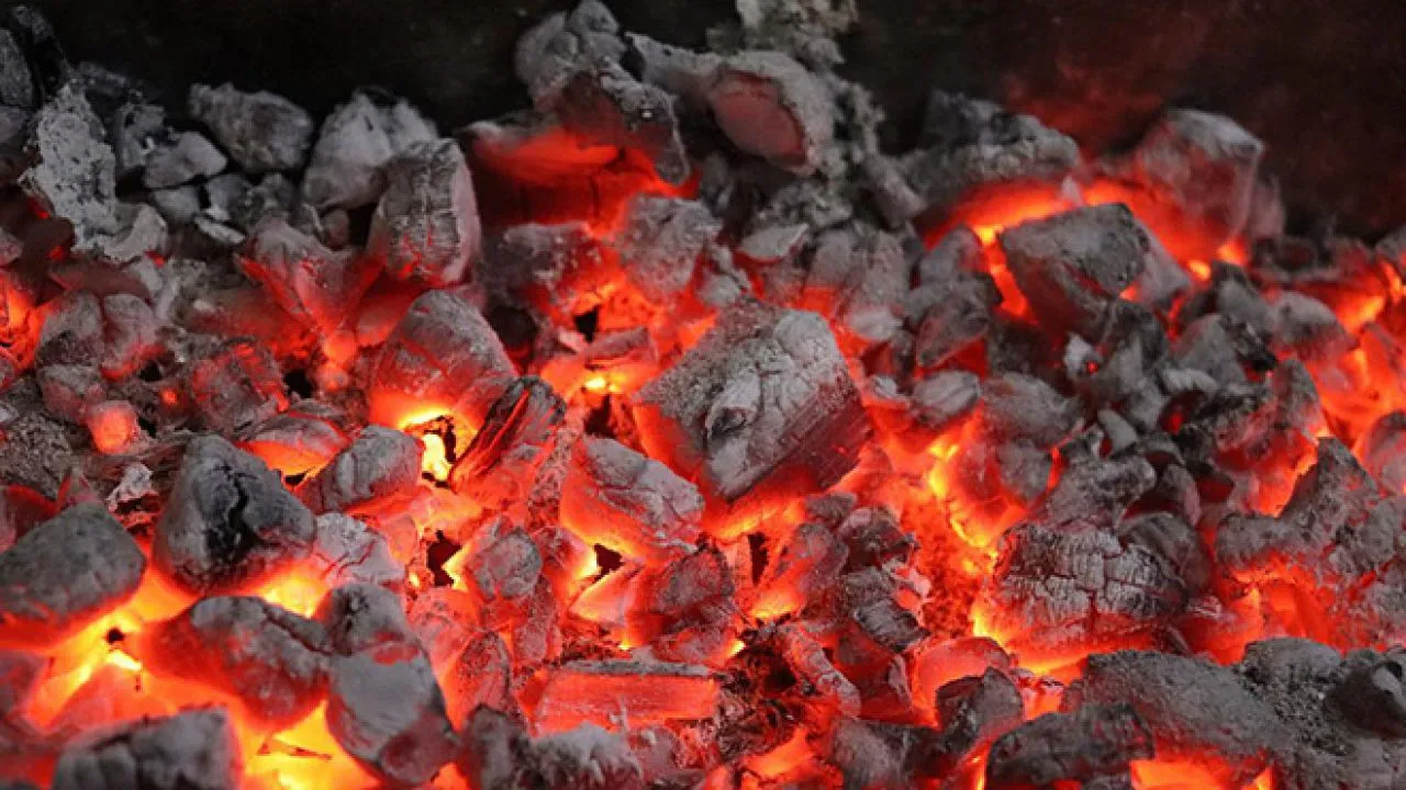 When the going gets tough, the tough burn coal | ORF